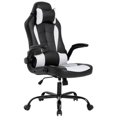 Black&White Ergonomic Gaming Chair w/LumbarSupport